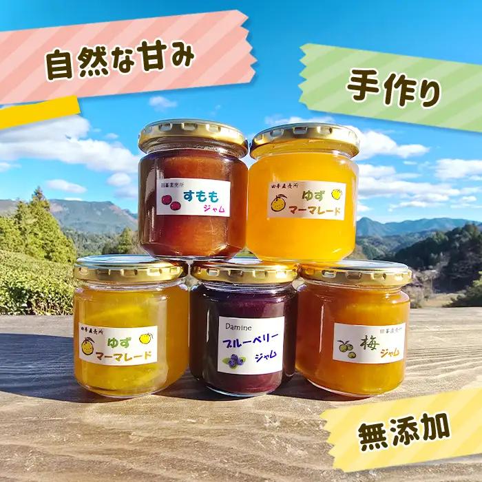 田峯手作りジャム 5個セット ジャム -021