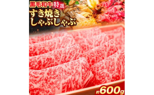 黒毛和牛 特選 すき焼き しゃぶしゃぶ スライス 約600g《30日以内に出荷予定(土日祝除く)》大阪府 羽曳野市 送料無料 牛肉 牛 和牛すき焼き用 しゃぶしゃぶ用 肩ロース ロース