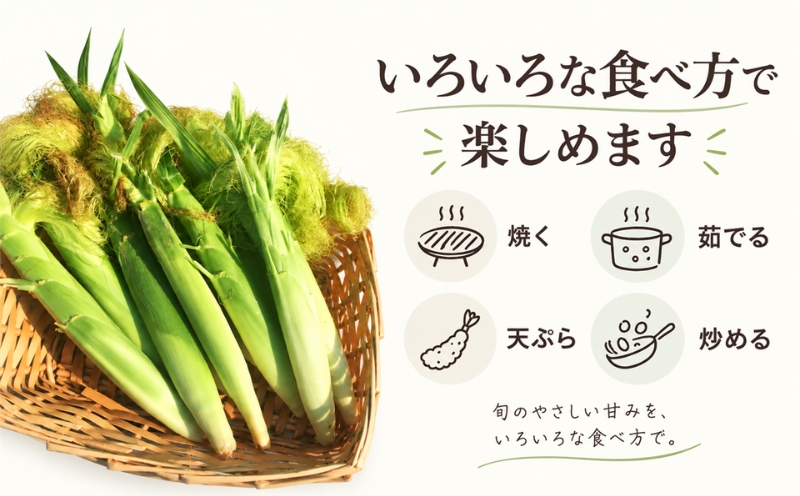 【2027年 先行予約】もぎたて発送！山梨県産 ヤングコーン 50本【栄養たっぷりヒゲ付き！】 ||  炭野菜 野菜 とうもろこし 間伐材 炭 肥料 SDGs 炭香ファーム ヤングコーン