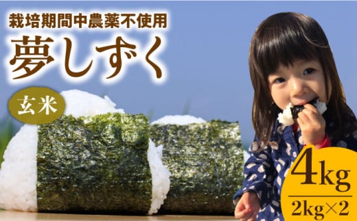 【2025年10月発送】令和7年産 新米 夢しずく ( 玄米 ) 4kg【北原農園】 [HCA001]