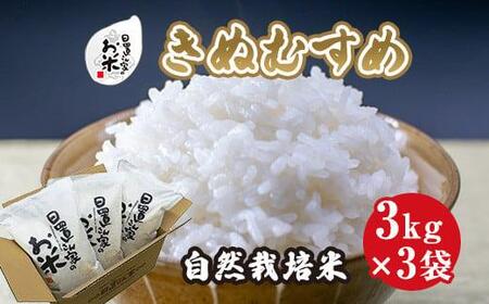 170.日置さん家の自然栽培 米 「 きぬむすめ 」無洗米　3kg×3袋 2025年産  |  無洗米