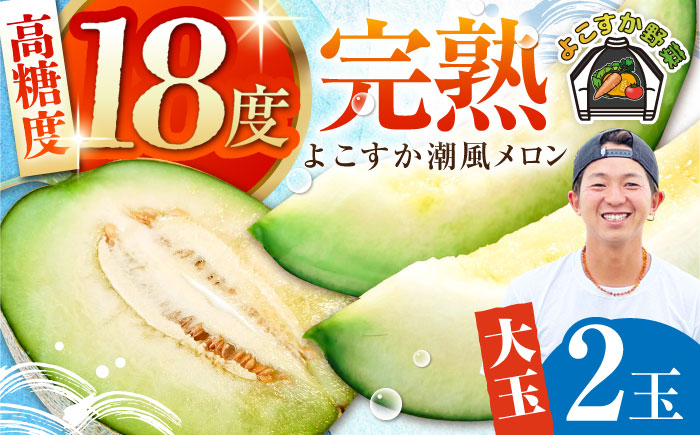 【先行予約】【数量限定50セット】よこすか潮風メロン 大玉4L 2玉セット 計約3kg 【井上農園】メロン [AKDJ001]