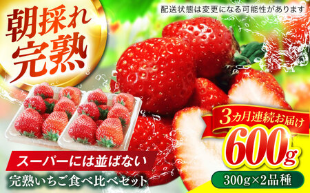 いちご 【3回定期便】 いちご 2品種 食べ比べ セット [ANFX002] いちご