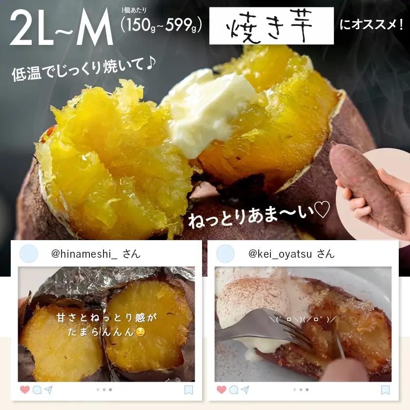 先行受付!【11月お届け】島津甘藷　熟成紅はるか 5kg(2L～M)〔LE-A7-001-5kg-11〕_(都城市) 島津甘藷 紅はるか 未選別 5kg 2L～M