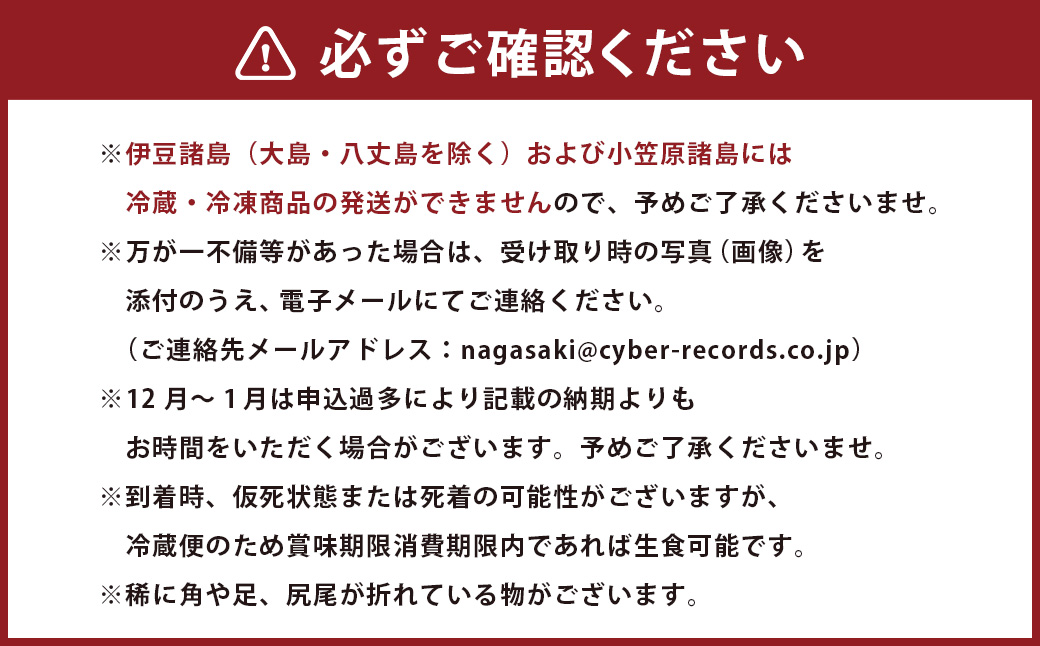 活伊勢海老（イセエビ）0.5kg・活サザエ1.5kg 伊勢海老 エビ サザエ セット 刺身 つぼ焼き 伊勢エビ 旨味 凝縮 生食 新鮮 活締め