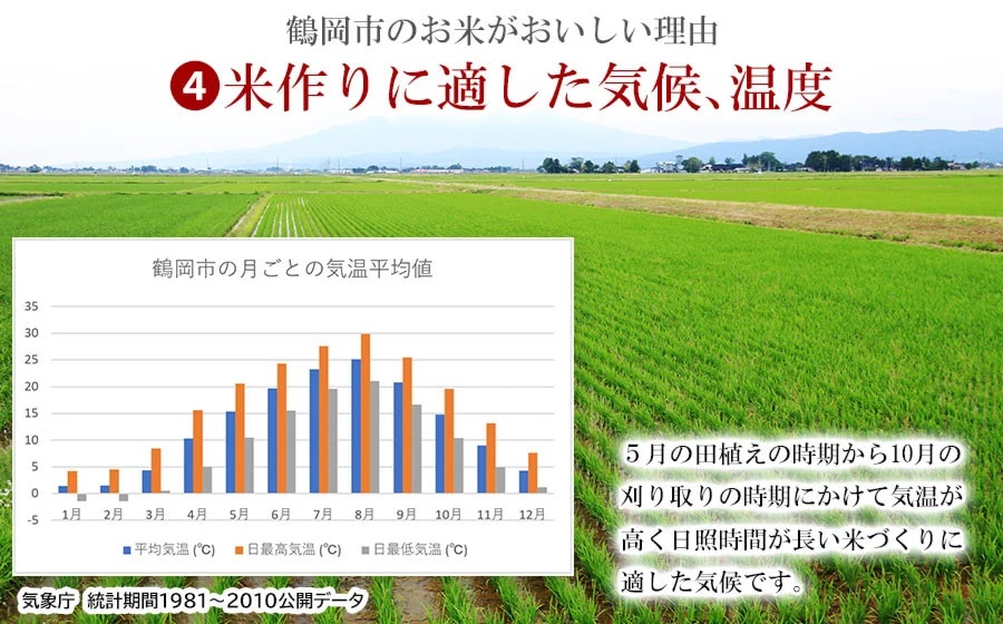 【令和6年産】 特別栽培米 つや姫 無洗米　5kg（5Kg×1袋） 山形県鶴岡市産　米食味鑑定士お薦め