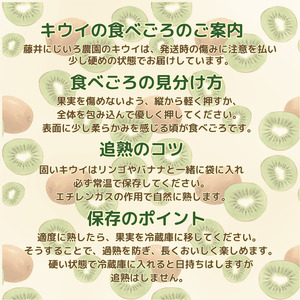 キウイフルーツ 食べ比べ 4種 約1.9kg あぶ町産 アソート