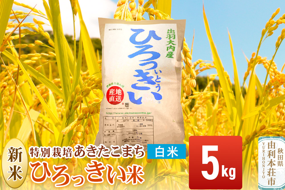 【白米】 秋田県産 あきたこまち 5kg 令和7年産 特別栽培米 ひろっきい米