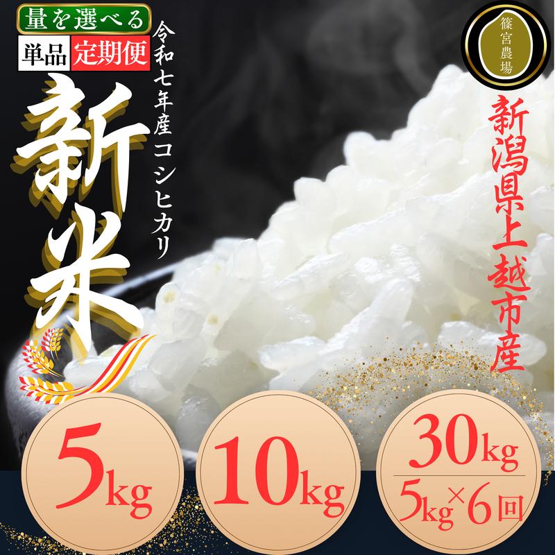 【ふるさと納税】先行予約/令和7年産/上越市産/コシヒカリ/容量と配送回数が選べる/定期便/新米/精米/新潟/米/新潟県/こしひかり/限定/おすすめ　お届け：2025/10/25から2026/9/30まで