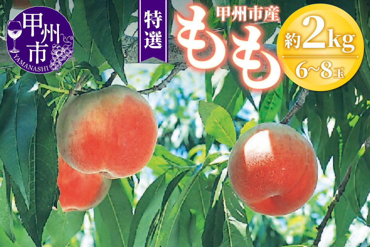 
                  甲州市産 桃 約2kg 6～8玉（特選）【2026年発送】（OGN）B15-1801 【桃 もも モモ 令和8年発送 期間限定 山梨県産 甲州市 フルーツ 果物】
                