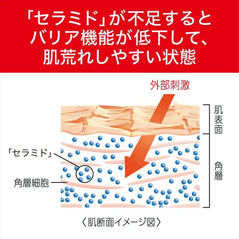花王 Curel キュレル　エイジングケアシリーズ化粧水　１４０ｍｌ【美容 化粧品 化粧 】