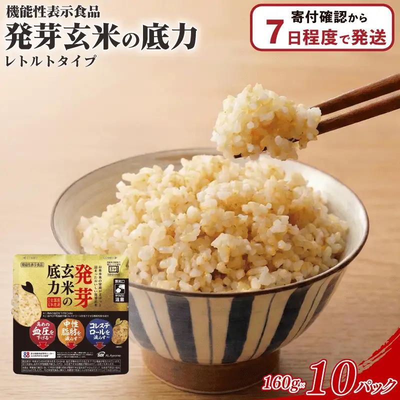 発芽玄米 ごはん レトルト パウチ 10パック 発芽玄米