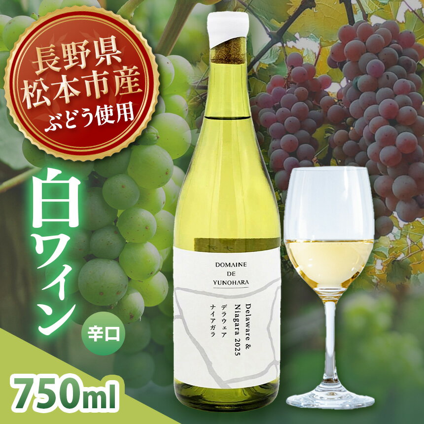 【ふるさと納税】【2026年1月発送】Delaware ＆ Niagara 2025(デラウェア×ナイアガラ) 1本 750ml｜ワイン 信州 白ワイン 辛口 ぶどう デラウェア ナイアガラ 長野県 松本市 老舗 ワイナリー 定番 わいん 酒 おさけ さけ アルコール