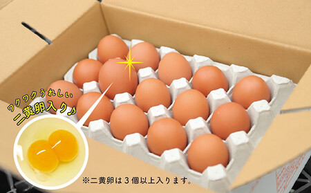 卵 たまご 産みたて新鮮卵 30個入り ※二黄卵3個以上入り！ | 卵 たまご 玉子 鶏卵 新鮮 濃厚 生卵 赤玉たまご 目玉焼き オムレツ 健康 産地直送 人気 二黄卵 卵 ※沖縄・離島への配送不可