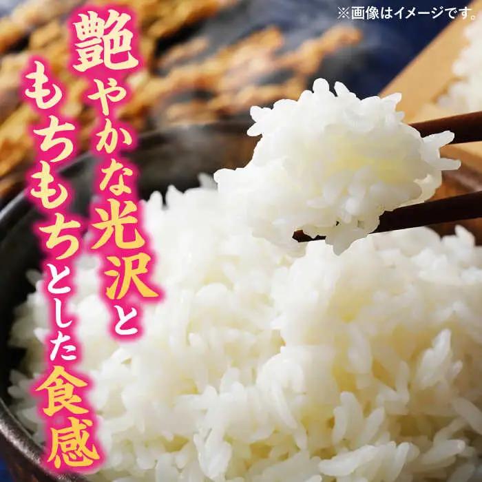  夢つくし 10kg 福岡県産 白米 [ADBB004] 米