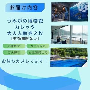 日和佐うみがめ博物館カレッタ 入館券 大人2名分 ドリームチーム