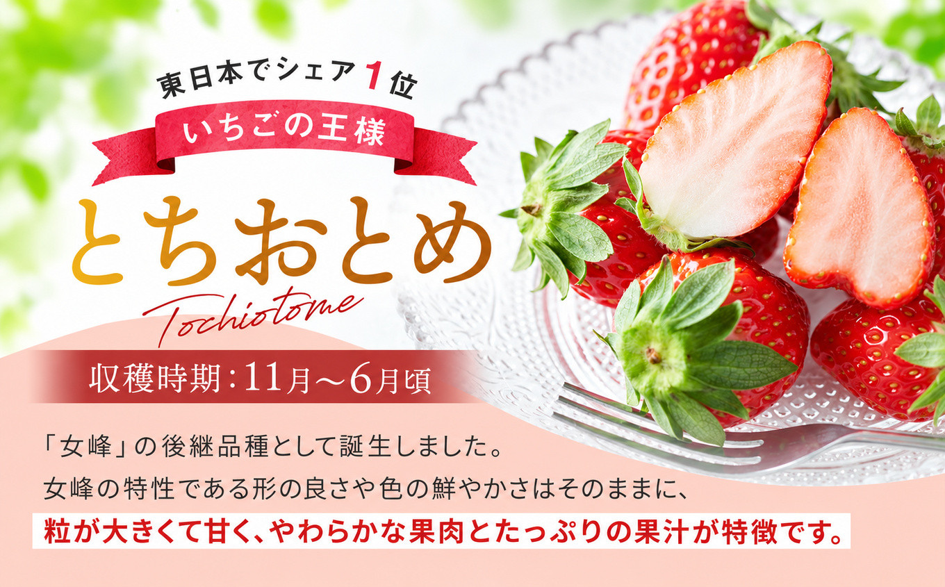 【定期便3回】栃木のいちご！元祖 「とちおとめ」 1,120g (280g×4P)| 澳原いちご農園 栃木県 矢板市 【定期便3回】とちおとめ4P｜30000円
