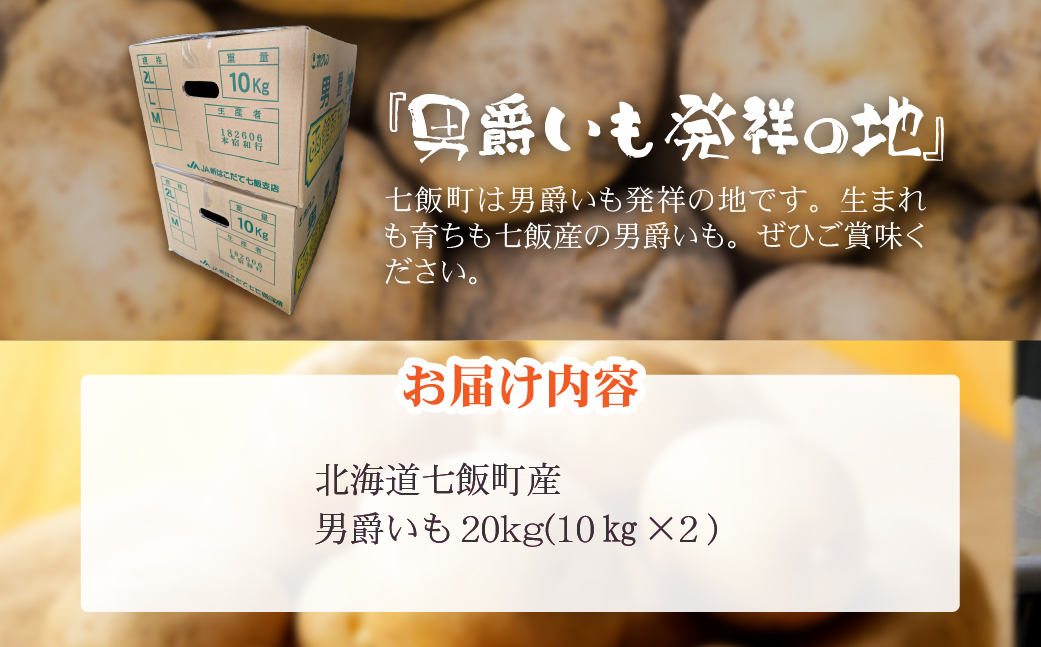 七飯町産男爵いも10kg×2 NABK002
