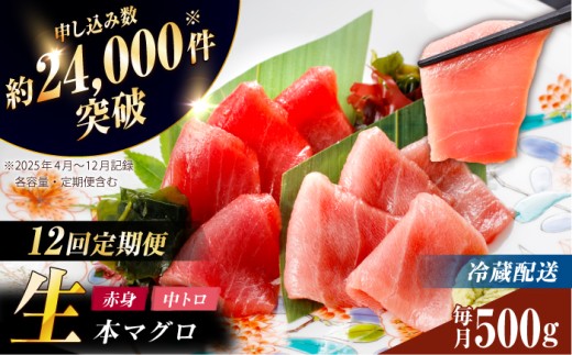 【全12回定期便】【ながさき水産業大賞受賞の新鮮なマグロを冷蔵でお届け！！】 五島列島産 養殖 マグロ 赤身 中トロ 計約500g   定期便 海鮮 ( まぐろ マグロ 鮪 本まぐろ 刺身 刺し身 お刺身 冷蔵 国産まぐろ 本マグロ 中とろ トロ 赤身 人気 おすすめ）生本かみマグロ 【カミティバリュー】 [RBP031]