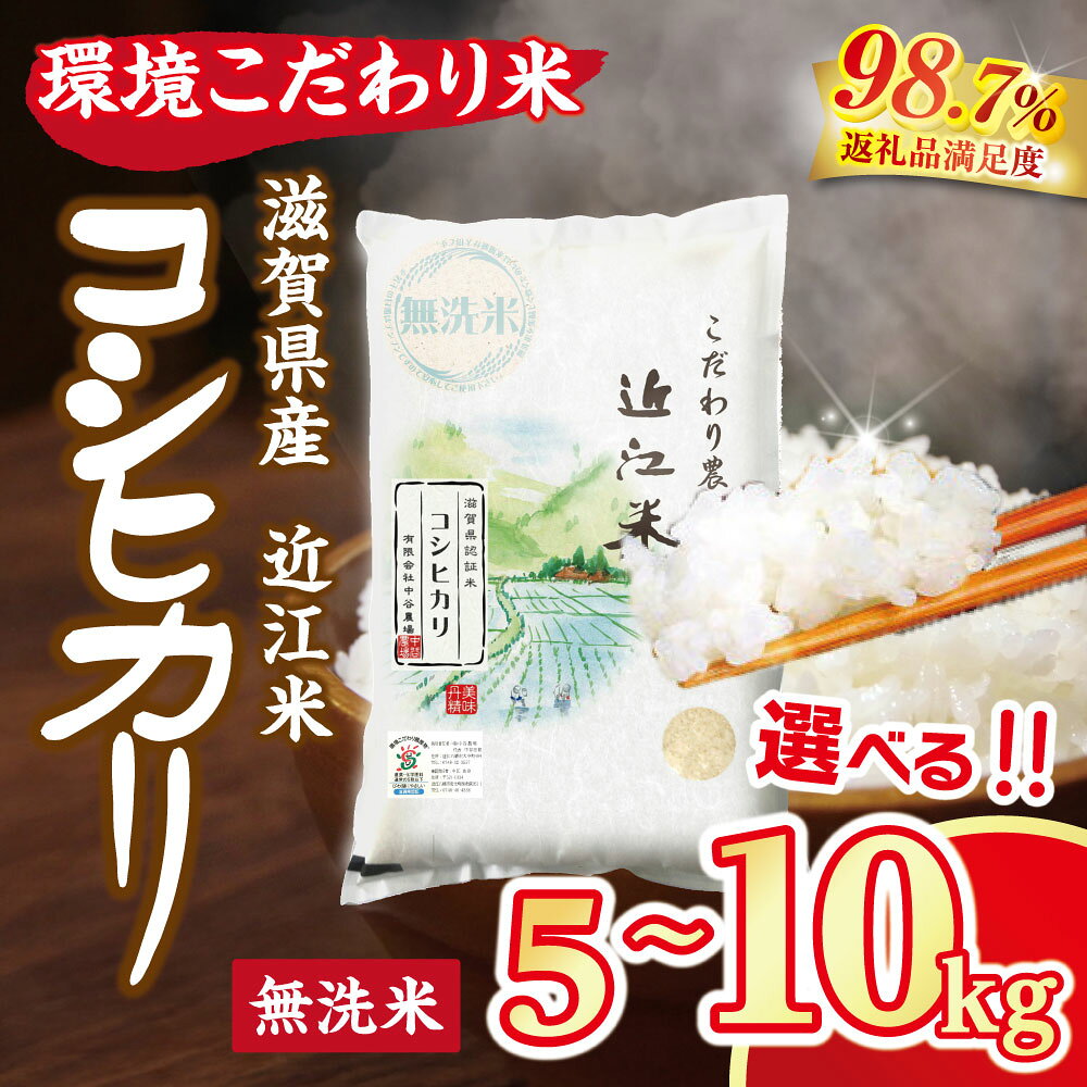 【 ふるさと納税 】【新米】 近江米 コシヒカリ 無洗米 5kg / 10kg 環境こだわり米 令和8年産 米 白米 お米 精米 精白米 単一原料米 単一米 ブランド米 銘柄米 国産米 高級米 こしひかり 5キロ 10キロ 滋賀 滋賀県産 国産 国内産 中谷農場