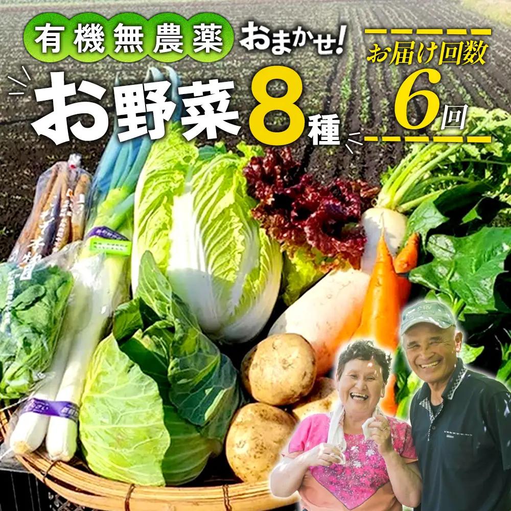 【6回定期便】特別栽培季節のお野菜セット 8品 野菜 無農薬 有機栽培 新鮮 やさい 旬 詰合せ 国産 宮崎県 九州 送料無料