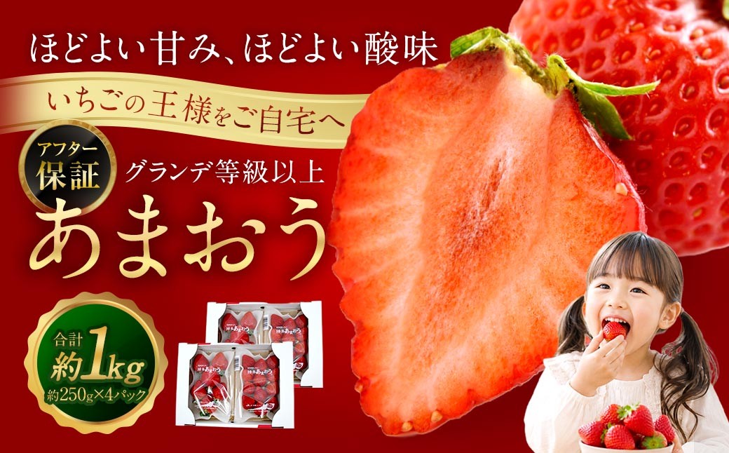 
                  あまおう （ グランデ等級以上 ） 約250  × 4P 計約1,000 ～ 1,080g いちご イチゴ 苺 果物 くだもの フルーツ 果実 果肉 いちごの王様 国産 福岡県産 冷蔵 【 2027年2月上旬～4月下旬発送予定 】
                