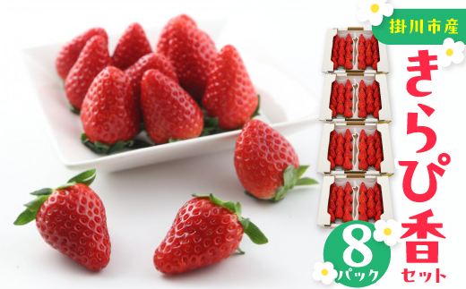 きらぴ香セット(8パック　約2080g)　酸味は控えめで濃厚な甘さのおいしいいちご【配送不可地域：離島・北海道・沖縄県・四国・九州】