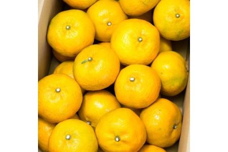 B50-09 はやか5㎏