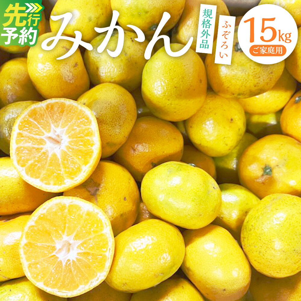 【ふるさと納税】 【規格外品】熊本市産 みかん ご家庭用 15kg 12000円 1万2000円 不揃い 訳あり 蜜柑 ミカン フルーツ 果物 くだもの 柑橘 果実 おやつ 熊本産 九州産 先行予約 送料無料 【2026年10月下旬～2027年2月下旬迄発送予定】