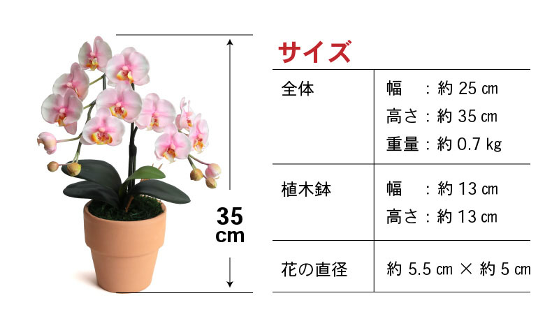 綺麗で丈夫な三河陶器で贈る光触媒胡蝶蘭小輪１本立（ピンクの陶器×桃色の花）H100-080