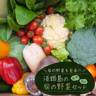 ふるさと納税 淡路市 淡路島の旬の野菜セット【お届け日指定返礼品】　ah09004