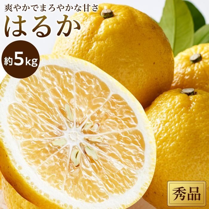 【ふるさと納税】 【2027年2月中旬頃から順次発送】 はるか＜秀品＞約5kg | 愛媛 みかん 蜜柑 柑橘 果物 くだもの フルーツ お取り寄せ グルメ 期間限定 数量限定 人気 おすすめ 愛媛県 松山市