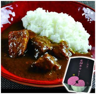 -あふひ 贅の極み- 飛騨牛カレー 2人前×4個セット / レトルトカレー ご当地カレー 常温保存 時短 / 恵那市 / テンポイント [AUEU003]