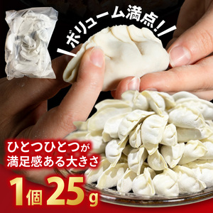 【3ヶ月定期便】満腹餃子 リピーター続出！ボリューム満点！120個（３kg ）×3回 老舗 大容量 国産 焼き餃子 冷凍 ぎょうざ ギョーザ 冷凍餃子 簡単調理 惣菜 おかず おつまみ スタミナ 高評