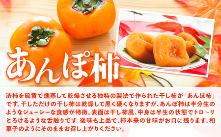 和歌山県産 あんぽ柿 70g×8個セット 紀の川市厳選館 