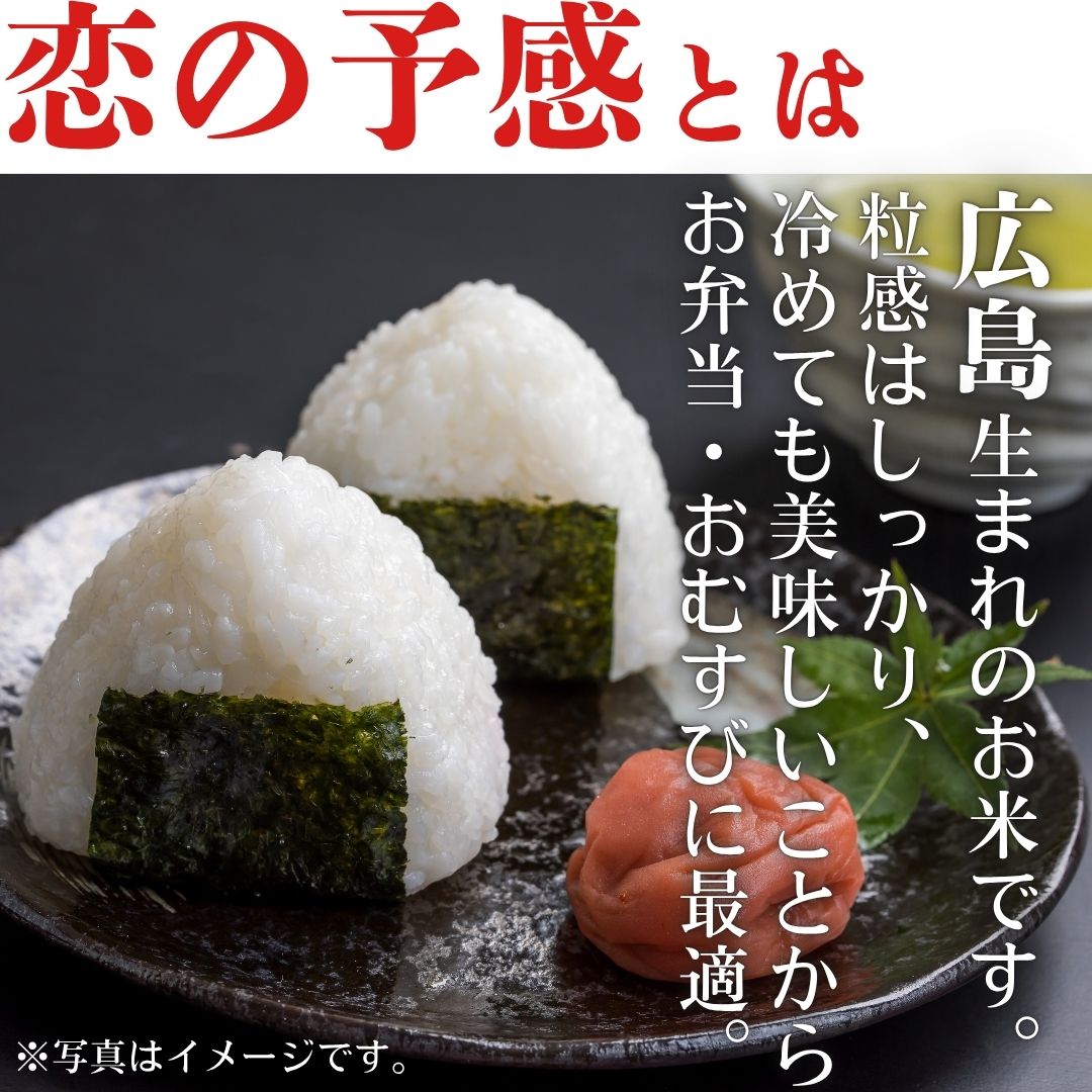 東広島市産米　恋の予感　無洗米　5kg