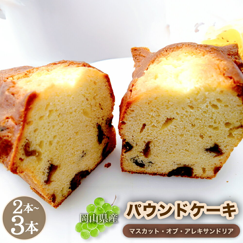 【ふるさと納税】マスカットのパウンドケーキ 【マスカットの贅沢な味わい】＜選べる内容量＞ 計約880g（2本） / 計約1.32kg（3本） 1本約440g フルーツ くだもの ケーキ スイーツ デザート お菓子 洋菓子 おやつ 家庭用 ギフト 贈答 贈り物 冷蔵 岡山県 倉敷市 送料無料
