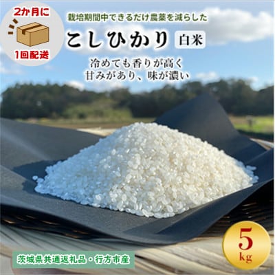 【2ヵ月毎定期便】栽培期間中できるだけ農薬を減らす こしひかり白米5kg茨城共通返礼品行方産全6回【4055849】