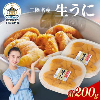ふるさと納税 山田町 【無添加】三陸山田 生うに 【先行予約】100g×2パック 令和9年5月中旬以降発送 ウニ 雲丹