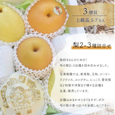 ふるさと納税 津山市 【発送月固定定期便】【2026年先行予約】岡山の桃、ぶどう、梨を産地直送!多品種を楽しむ定期便全3回 |  | 03