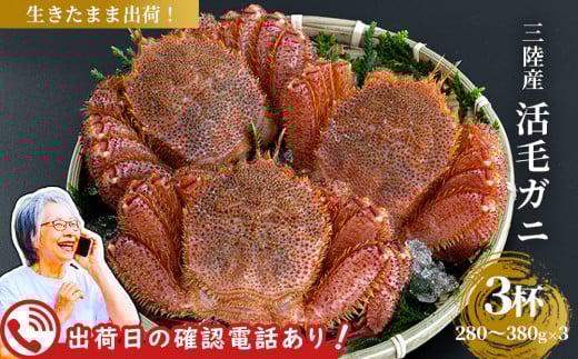 fc-40-003 【出荷前にお電話します！】 活毛ガニ 3杯 (280～380ｇ×3) 三陸産  【令和8年2月上旬～4月頃お届け】ヤマコー片桐鮮魚店