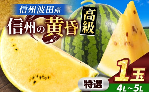 【先行予約】信州波田産 甘いスイカ！ 信州の黄昏 ( 金色羅皇 ) 【特選】 4L～5Lサイズ 1玉｜ふるさと納税 長野県 信州 松本 果物 フルーツ すいか スイカ 西瓜 大きい 特別 珍しい 黄色スイカ 贈答 季節限定 甘い くだもの ふるーつ