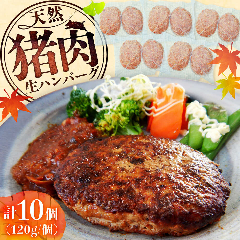 【ふるさと納税】猪肉の生ハンバーグ 計10個（120g×2個入り×5パック） / ジビエ 猪肉 いのしし ハンバーグ / 佐賀県 / ジビエ唐津 [41ABAG005]