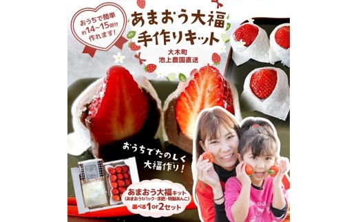 
            あまおう大福 手作りキット 選べるセット数(1〜2セット) 大福 和菓子 セット【2026年1月～4月にかけて順次出荷予定】BD03/BD14
          
