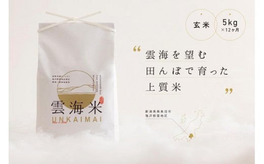 
                  新米予約【令和8年産】【定期便】「雲海米」南魚沼塩沢産コシヒカリ　玄米5kg x 全12回【定期便 銘柄米 ブランド米 玄米 こしひかり コシヒカリ 魚沼産 新潟米 お米 米】【2026年10月上旬から1ヶ月以内に順次発送予定】
                