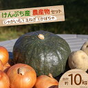 【ふるさと納税】【先行受付】数量限定 野菜 けんぶち産農産物セット 3種 計10kg [剣淵・生命を育てる大地の会 北海道 剣淵町 14656147] じゃがいも 玉ねぎ かぼちゃ 野菜セット