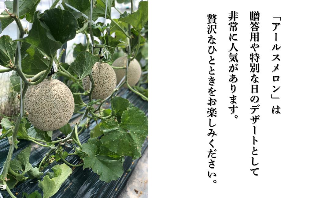 アールスメロン 1玉（1.7kg以上） 化粧箱入り 8月上旬より順次発送 先行予約 マスクメロン 果物 フルーツ プレゼント 贈答用