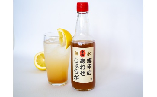濃縮 生姜 シロップ パウチ 6パック セット 360ml 万能 調味料 生姜 自由自在 あわせしょうが ドレッシング 飲料 調理 ジュース KP009-2x
