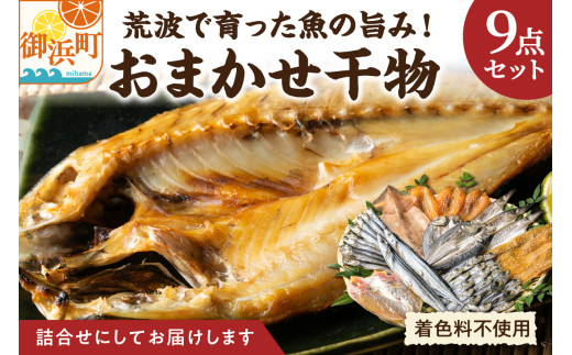 【2027年発送 先行予約品】マルミツのおまかせ干物9点【魚 魚介類 干物 セット 詰め合わせ 着色料不使用 マルミツ 熊野灘 三重県 御浜町】