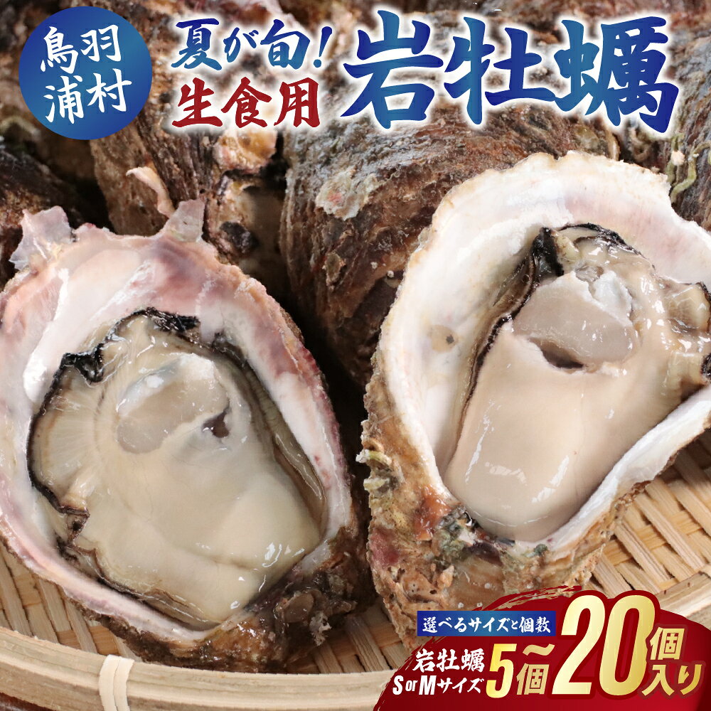【ふるさと納税】8月1日に受付終了【夏が旬！期間限定 】生食用岩牡蠣（大福牡蠣）選べるサイズと個数 5個～20個 岩ガキ 生牡蠣 冷蔵 浦村牡蠣 丸善水産 大福牡蠣 9-11